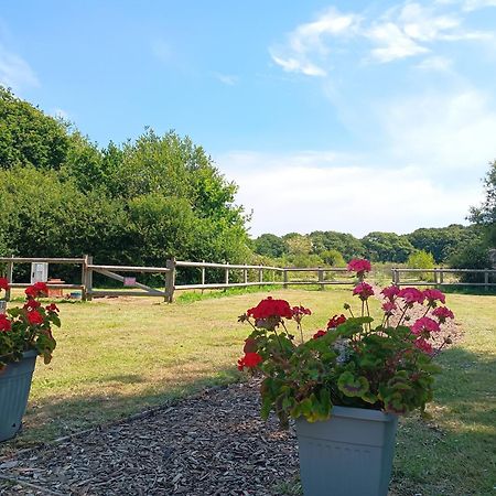 Cosy Cabins At Westfield Farm, Isle Of Wight ヤーマス エクステリア 写真