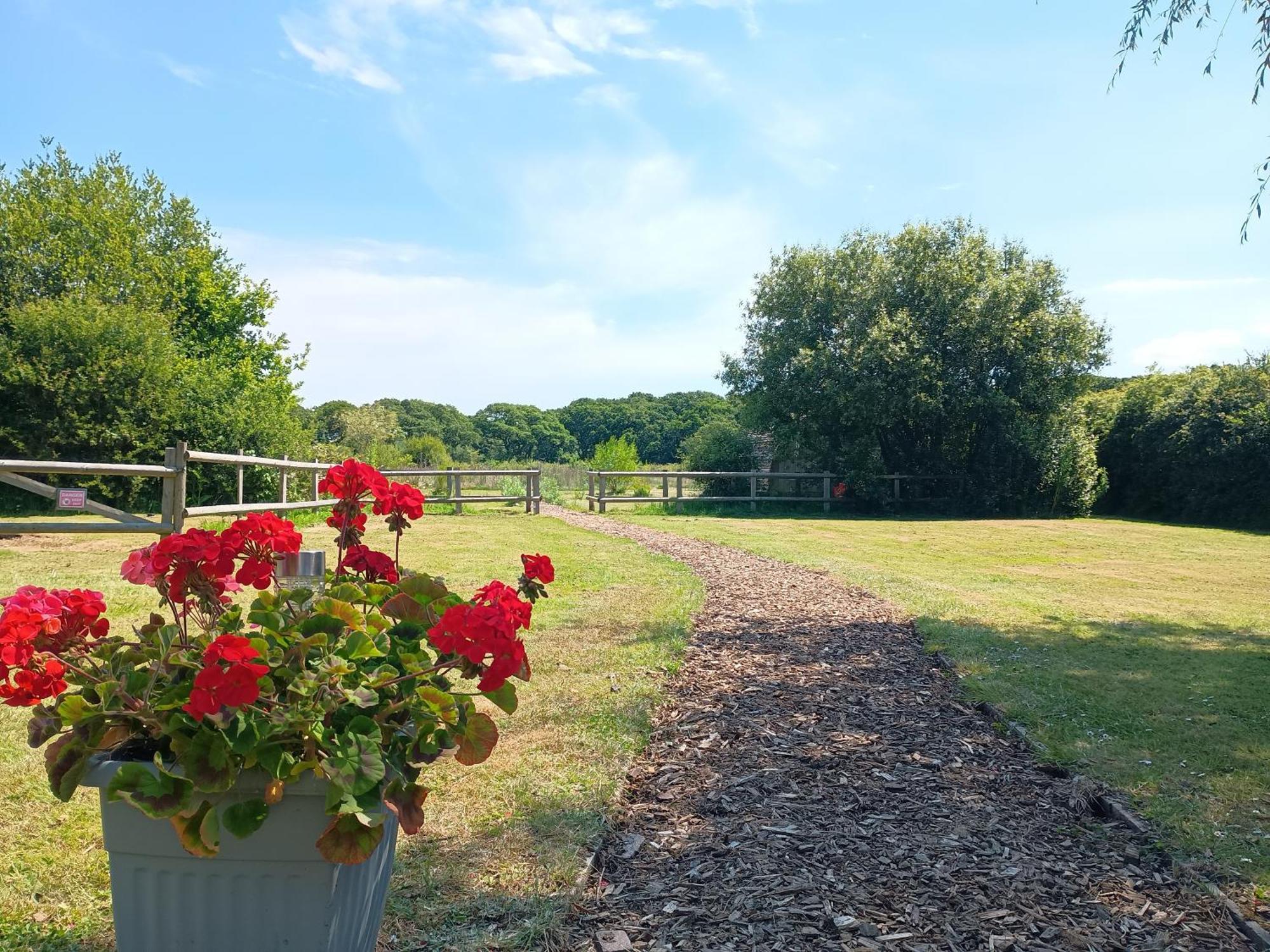 Cosy Cabins At Westfield Farm, Isle Of Wight ヤーマス エクステリア 写真
